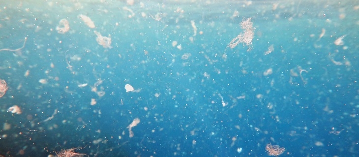 Stor andel mikroplast i Östersjön från dag- och avloppsvatten