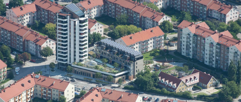 Här planteras Malmös första mikroskog