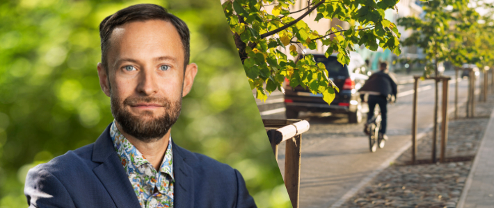 Ny standard ska rädda fler träd i byggprojekt
