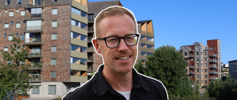 Därför vänder sig Thailand till svensk träindustri