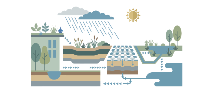 Guide: Så blir naturen en del av klimatskyddet